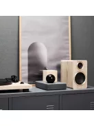 Argon Audio FENRIS A55 bluetooth aktív álló hangfal