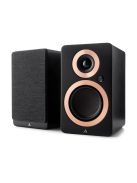 Argon Audio FORTE A5 Wifi bluetooth-wifi aktív állványos hangfal