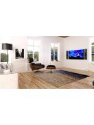 Audio Physic CLASSIC On-Wall 2 lapos fali hangsugárzó