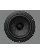 Audio Physic STREAM 1 állványos hangfal