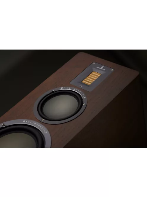 Audiovector QR7 Special Edition álló audiophile hangsugárzó