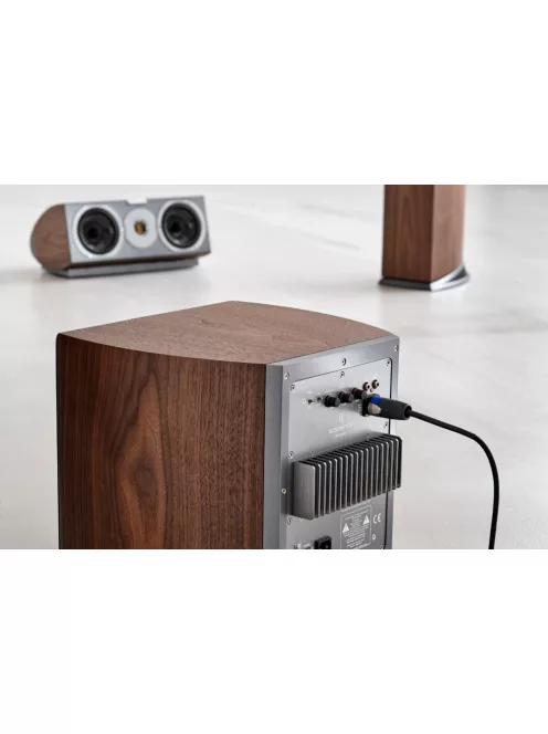 Audiovector R-SUB Arreté High-End aktív zárt mély hangsugárzó