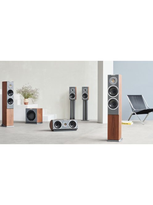 Audiovector R C Avantgarde High-End center hangsugárzó