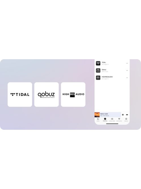 Matrix Audio Mini-I PRO 4 Audiophile hálózatos zenelejátszó streamer és DAC Fekete