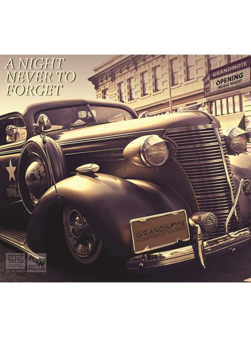 STS A night never forget - audiophile CD lemez