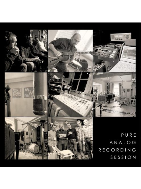 STS Pure Analog session audiophile LP/vinyl hanglemez