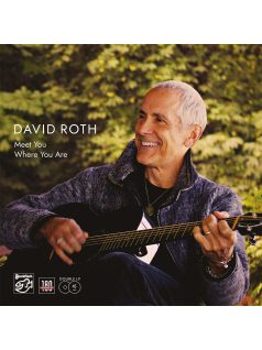 Stockfisch Records David Roth - Meet you where you are