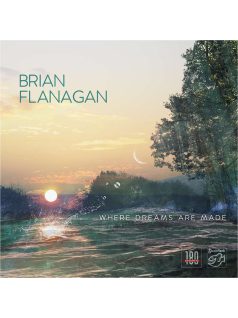   Stockfisch Records - Brian Flanagan - where Dreams Are Made LP vinyl 180g 