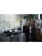 VPI Forever Model One Prémium high-end analóg lemezjátszó