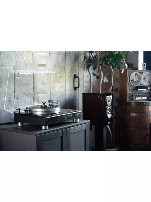 VPI Forever Model One Prémium high-end analóg lemezjátszó
