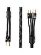 Argon Audio EXCELLENCE 1 SC szerelt hangsugárzó kábel 2x2,5m Bi-Wire