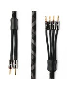 Argon Audio EXCELLENCE 1 SC szerelt hangsugárzó kábel 2x3,5m Bi-Wire