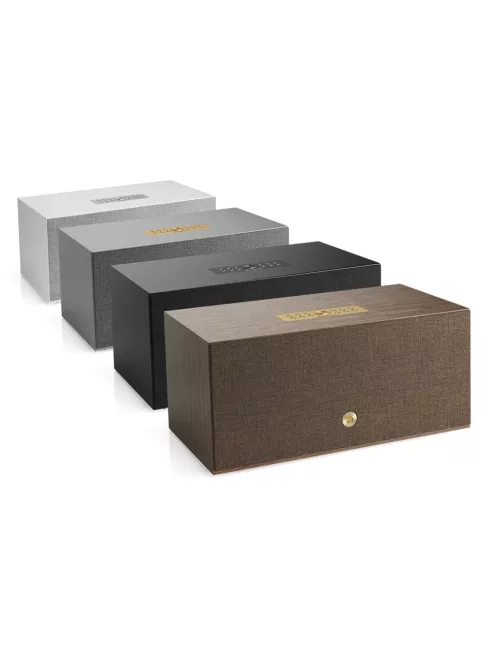 AudioPro C20W Wiim vezeték nélküli multiroom hangfal