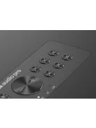AudioPro C20W Wiim vezeték nélküli multiroom hangfal