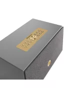 AudioPro C20W Wiim vezeték nélküli multiroom hangfal