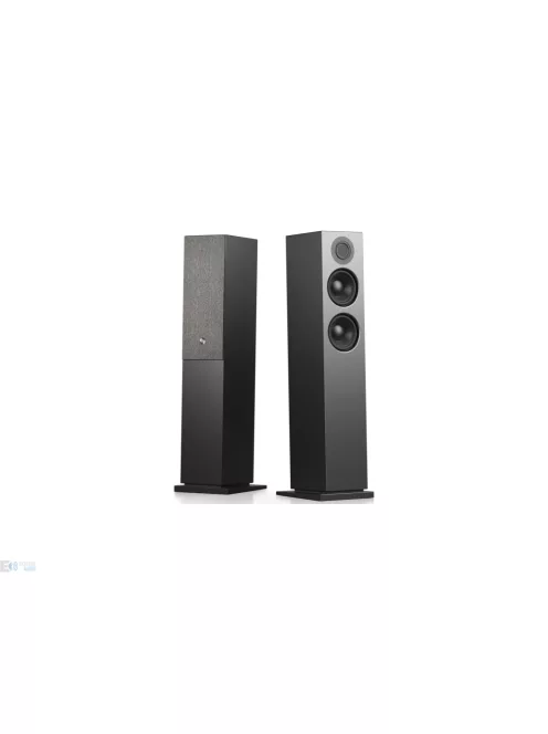 AudioPro A48W Wiim vezeték nélküli hálózatos aktív álló hangfal