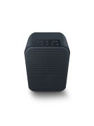 Bluesound PULSE FLEX 2i hálózati zenelejátszó aktív hangfal streamer - fekete