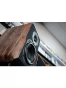 Chario DELPHINUS MK2 audiophile állványos hangfal