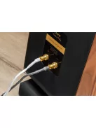 Chario Pegasus MK2 audiophile álló hangfal