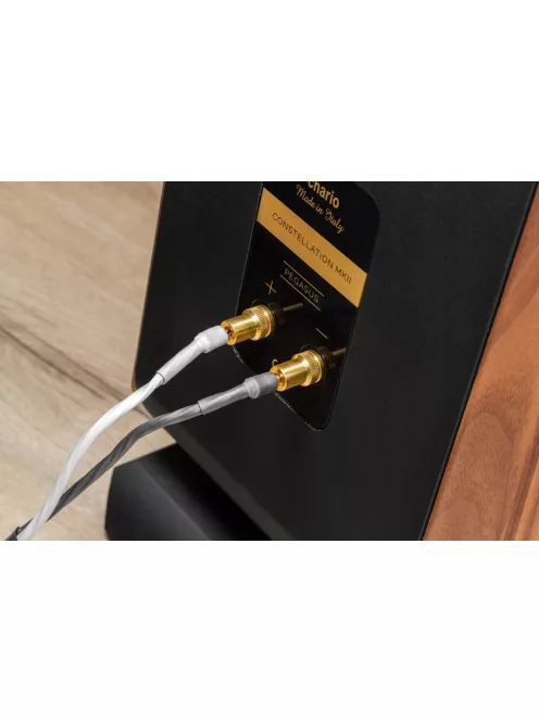 Chario Pegasus MK2 audiophile álló hangfal