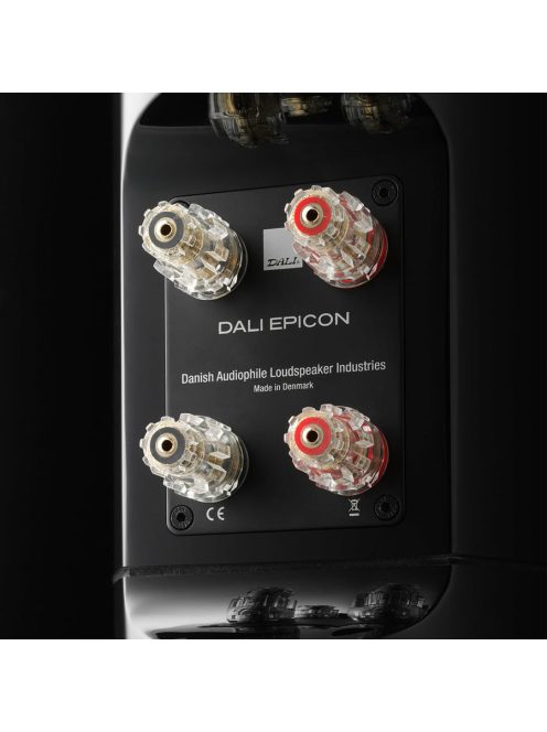 DALI EPICON 8 álló hangfal