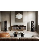 DALI EPIKORE 9 álló hangfal