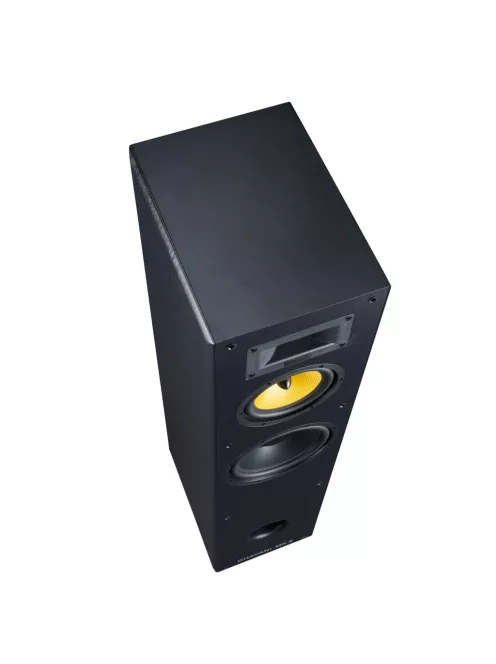 Davis Acoustics DHAVANI MK2 álló hangsugárzó