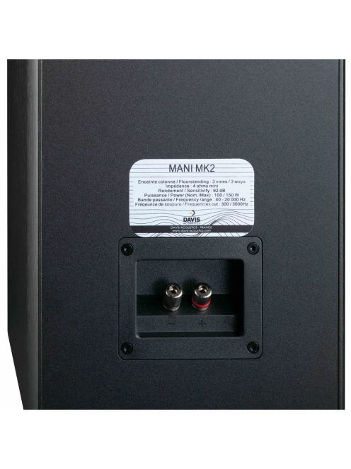 Davis Acoustics MANI MK2 álló hangsugárzó