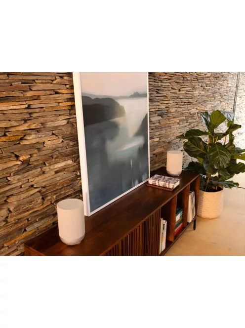 Denon HOME 200 Multiroom aktív hangfal