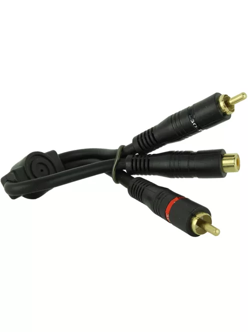 Dynavox RCA Y - egy aljzat két dugó