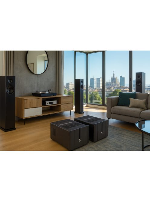 EAM LAB Classic Amp M250 Mono High-end végerősítő