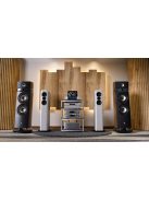 FIIO S15 streamer audiophile hálózatos zene lejátszó - D/A konverter - előerősítő