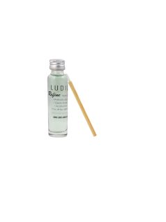 Ludic Audio Hangszedő tű tisztító