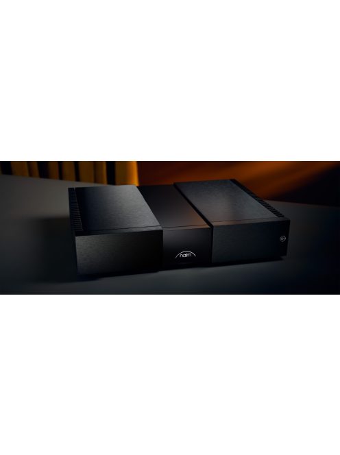 NAIM NAP-350 highend mono végerősítő