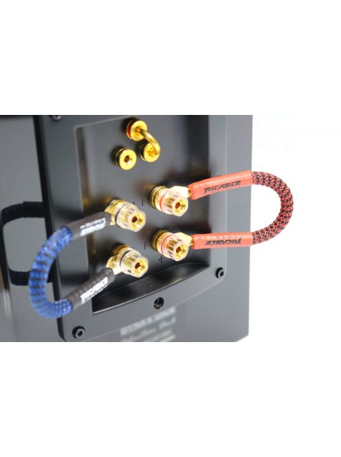RiCable Invictus Reference high-end hangfal kábel Bridge 4db/szett saru-saru