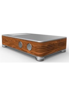   Serblin&Son Monoblock highend  mono végerősítő párban - dió