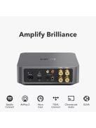 WIIM AMP hálózati audio lejátszó erősítővel - szürke