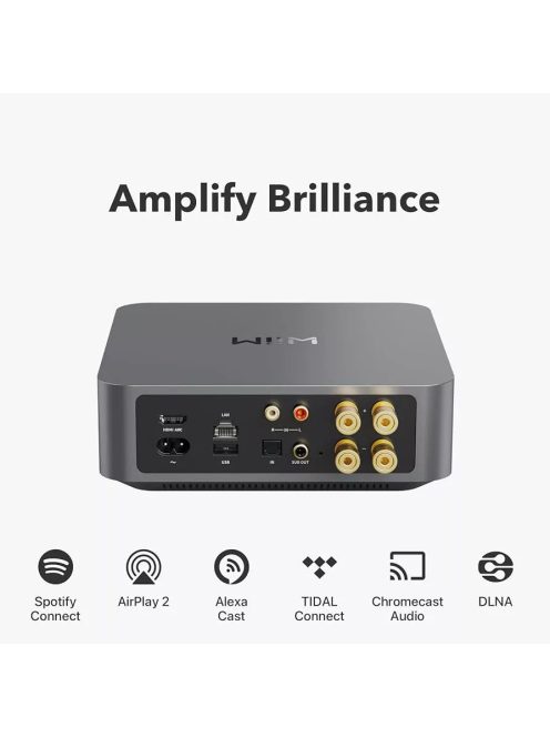 WIIM AMP hálózati audio lejátszó erősítővel - szürke
