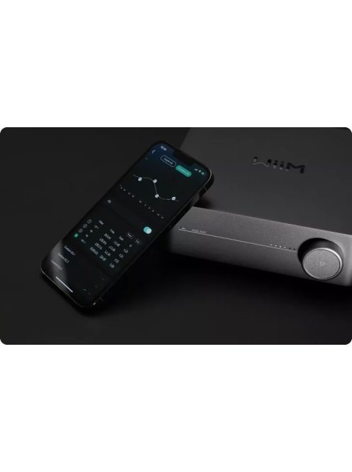 WIIM AMP hálózati audio lejátszó erősítővel - szürke