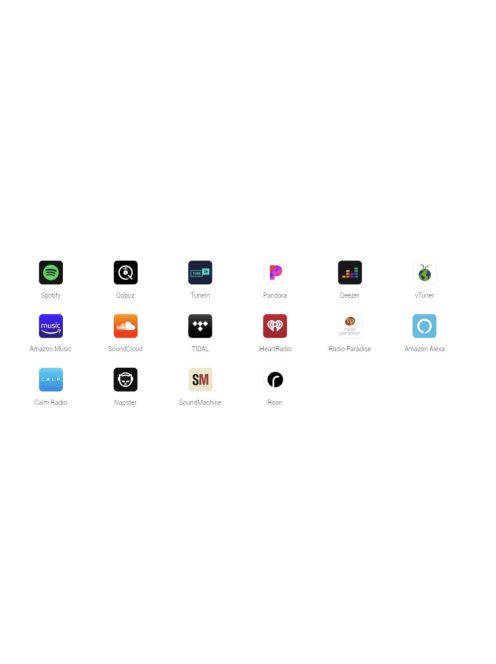 WIIM AMP hálózati audio lejátszó erősítővel - szürke