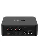 WIIM Pro PLUS hálózati audio lejátszó AKM DAC chippel