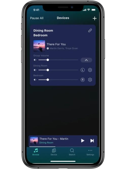 WIIM Pro PLUS hálózati audio lejátszó AKM DAC chippel